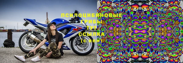 стафф Баксан