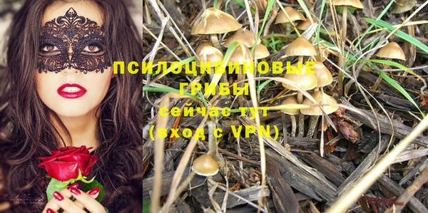 марки lsd Балабаново