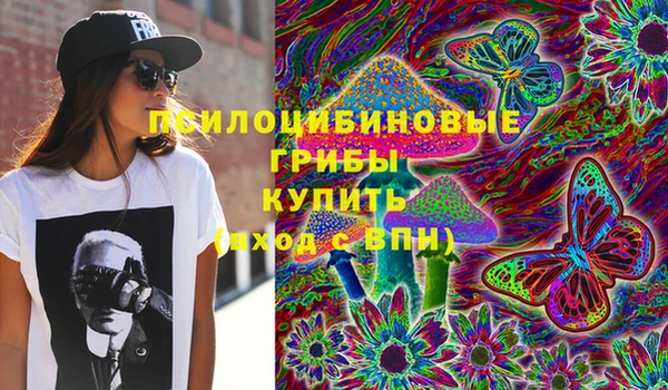 стафф Баксан