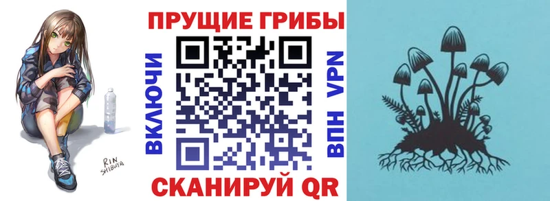 сколько стоит  Гудермес  Псилоцибиновые грибы мицелий 